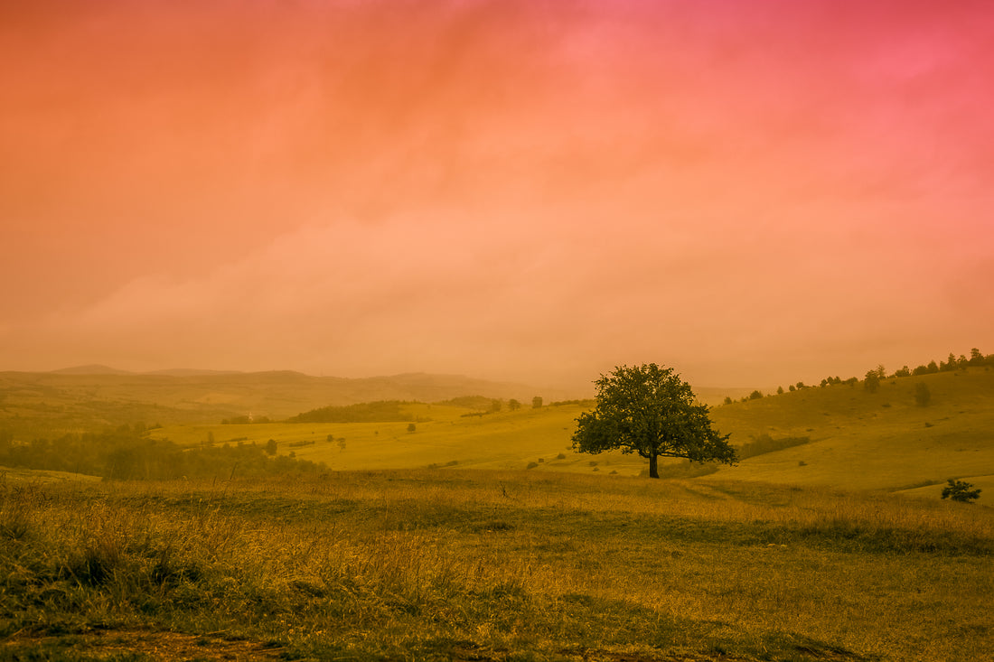 De ce chiar daca experimentam Unitatea, tot avem parte de lipsuri, deziluzionari si neimpliniri.