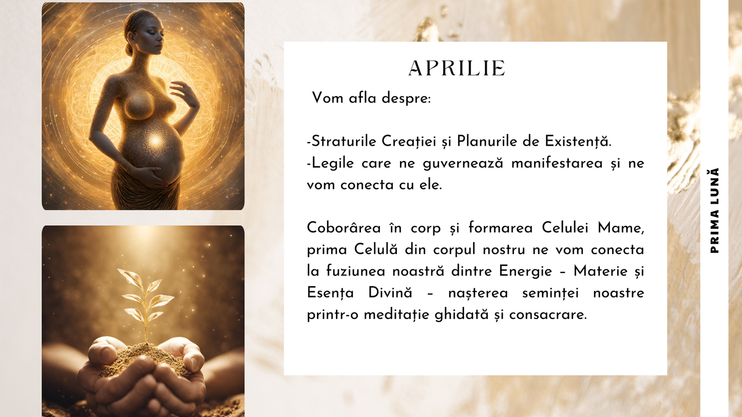 Atelier Celula Mama