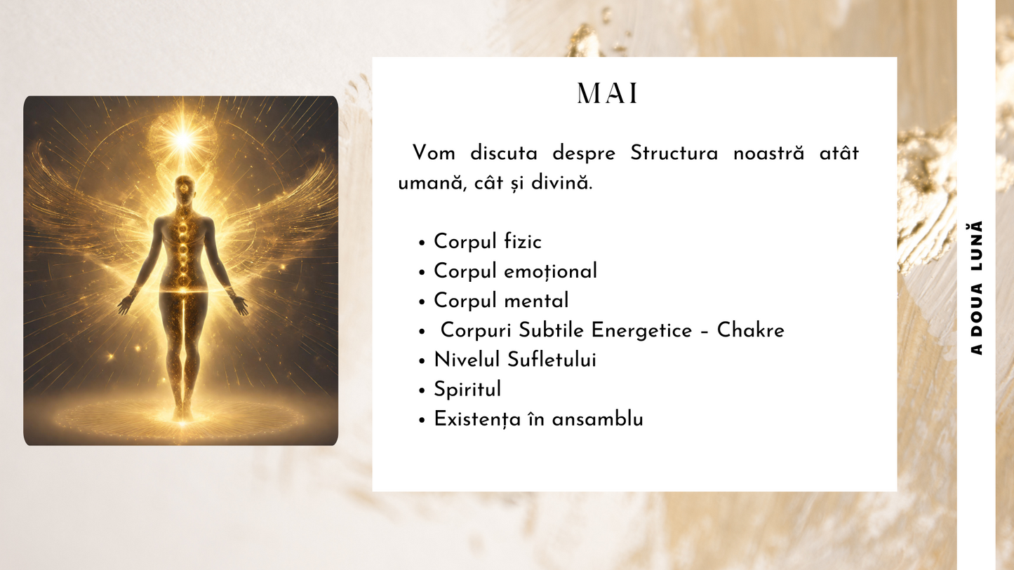 Atelier Celula Mama