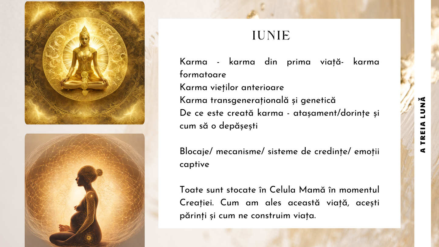 Atelier Celula Mama