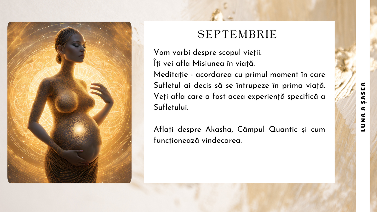 Atelier Celula Mama