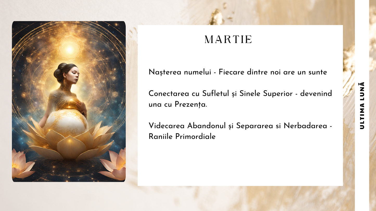 Atelier Celula Mama