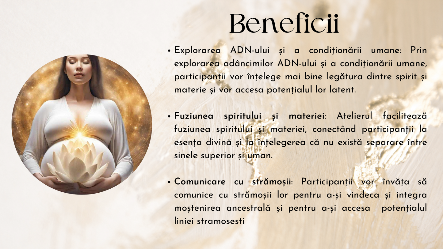 Atelier Celula Mama