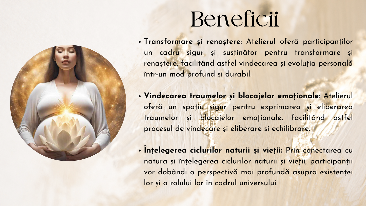 Atelier Celula Mama