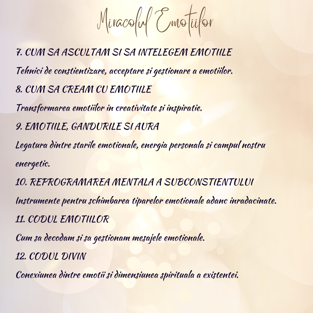 Atelier Miracolul Emotiior