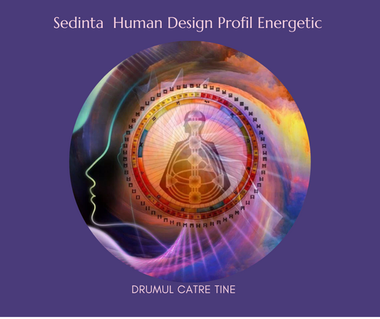 Sedinta Human Design Profil Energetic
